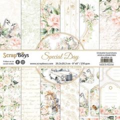 ScrapBoys Special Day paperpad 12 vl+cut out elements-DZ SPDA-10 250gr 20,3x20,3cm *