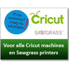 Privé workshop Cricut Explore  (3) en/of Cricut Maker (3)